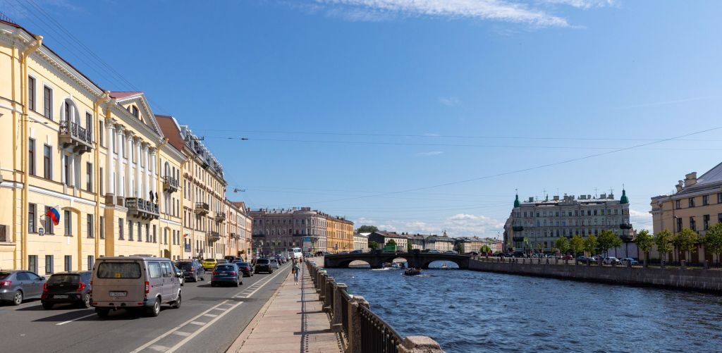 квартира г Санкт-Петербург метро Гостиный Двор наб Реки Фонтанки 26в округ Литейный фото 37