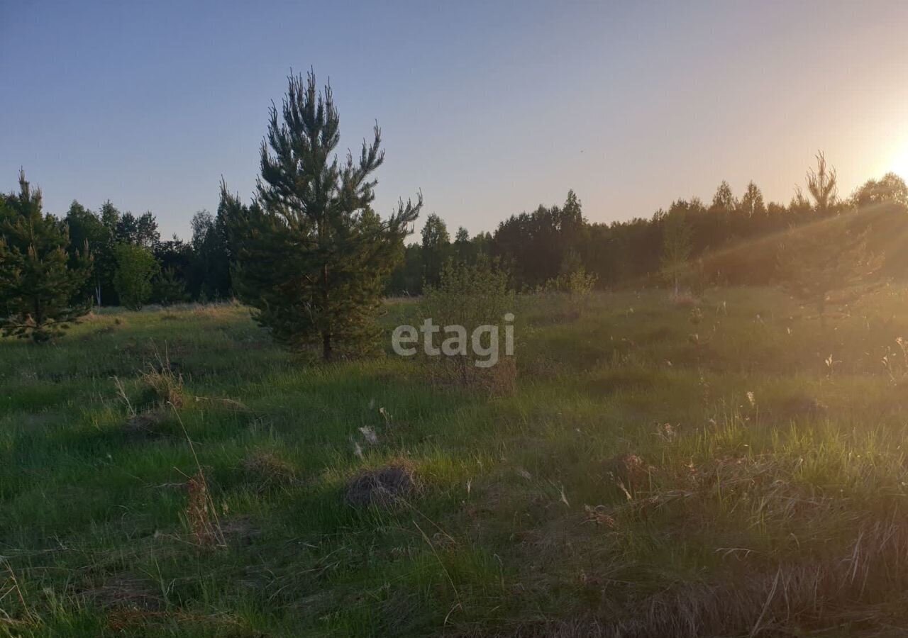 земля р-н Тюменский с Княжево Богандинский фото 1