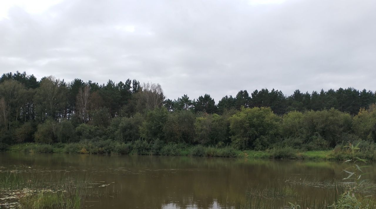 земля р-н Новосибирский снт Зеленая Поляна Новолуговской сельсовет фото 9