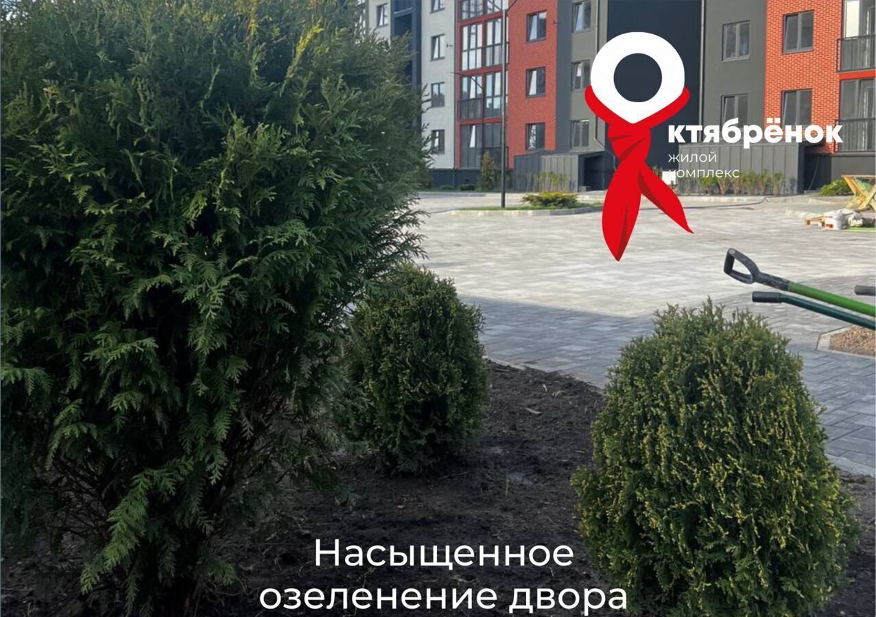 квартира г Пионерский ул Октябрьская 2 ЖК «Октябрёнок» фото 7