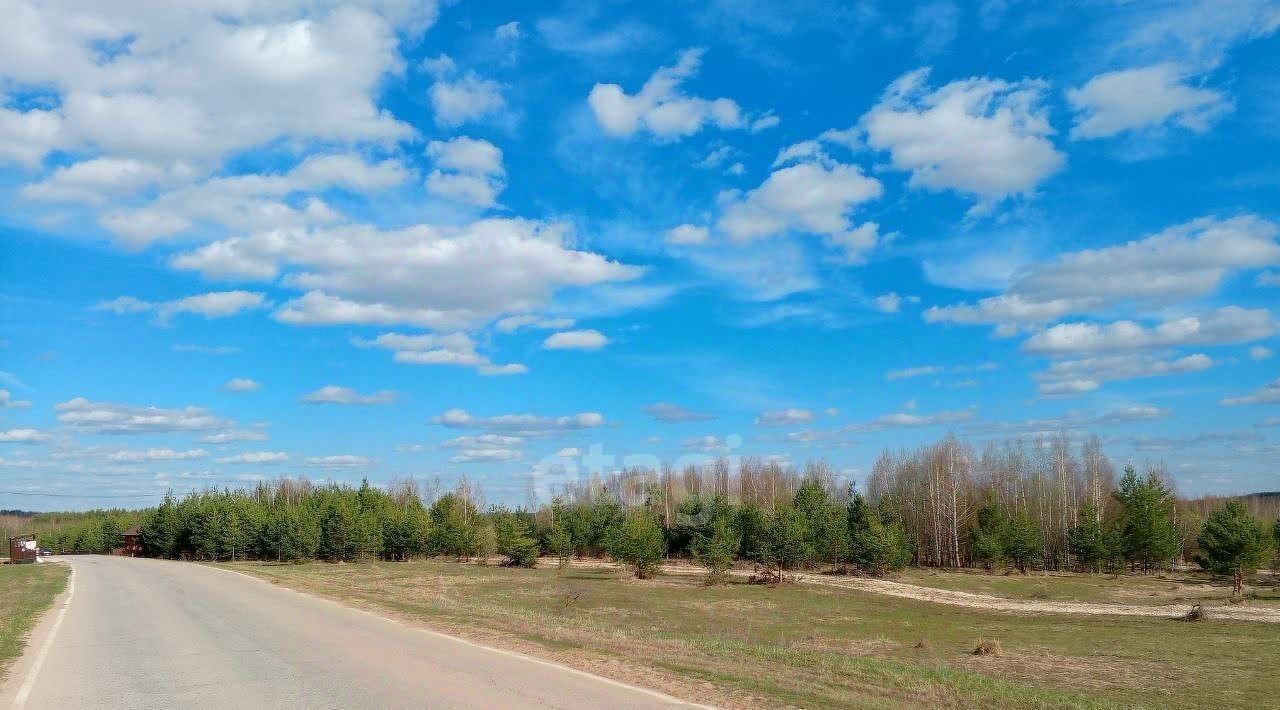 земля р-н Богородский д Касаниха фото 20