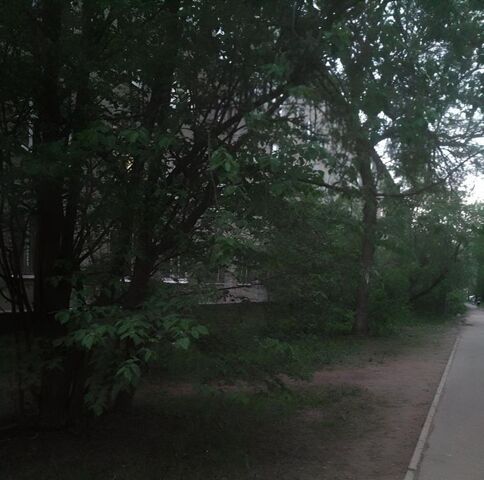 метро Ломоносовская дом 52 округ Народный фото