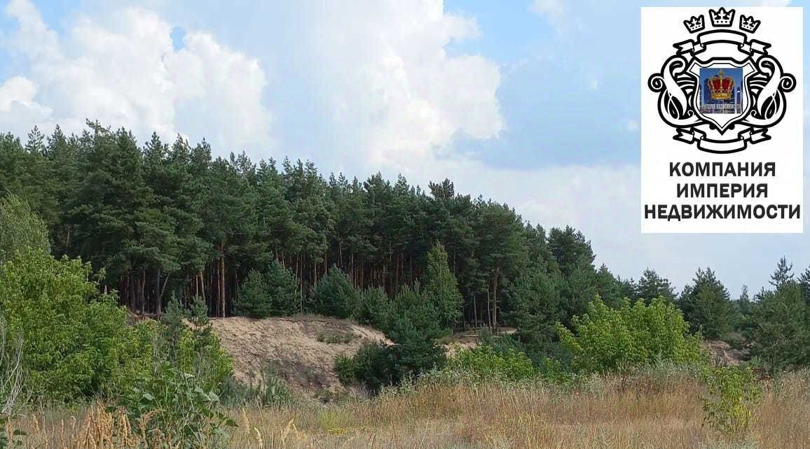 земля городской округ Шебекинский с Новая Таволжанка фото 12