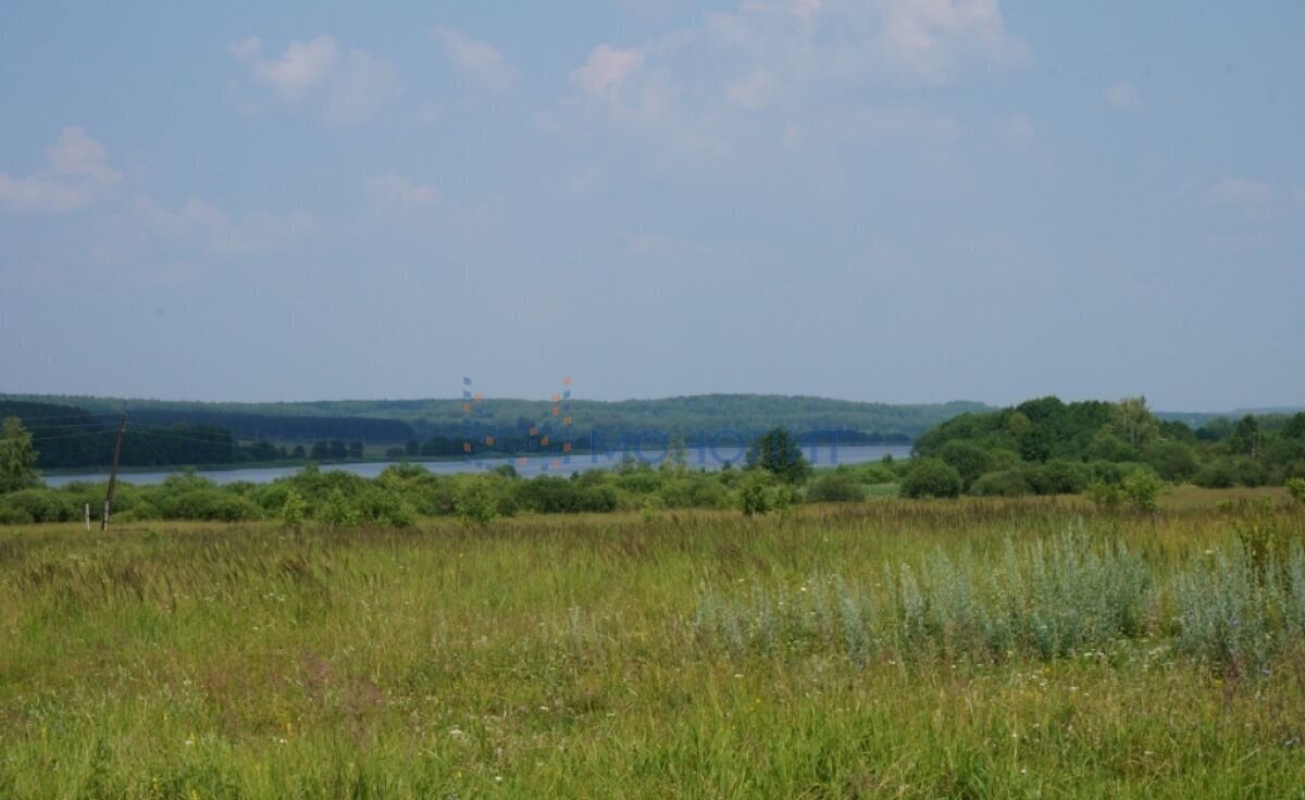 земля р-н Богородский д Инютино Суроватиха фото 2