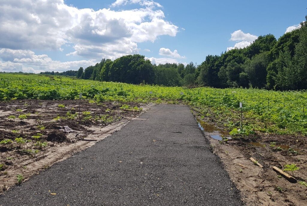 земля городской округ Дмитровский коттеджный поселок «Сорочаны» городской округ Клин фото 22