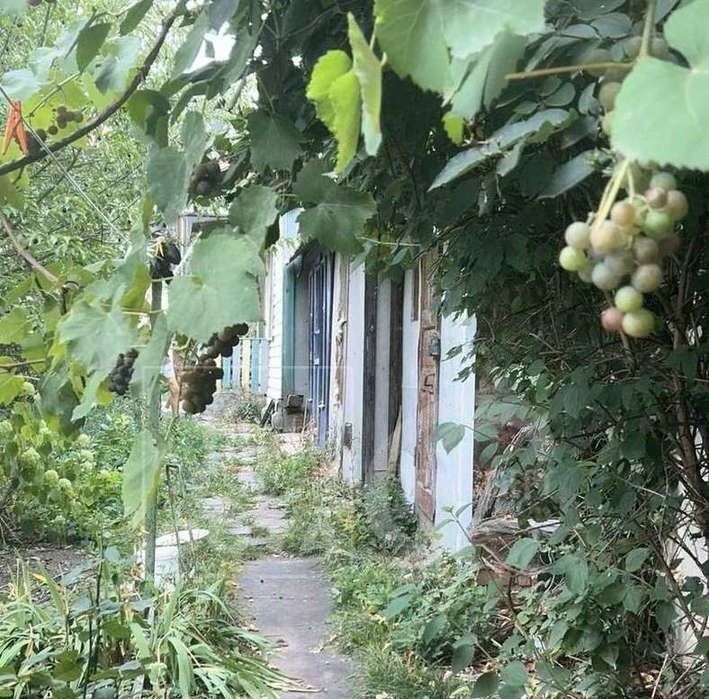 дом р-н Семилукский г Семилуки ул Коммунальная 10 фото 14