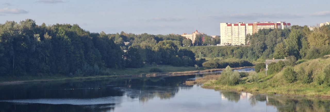 земля р-н Кингисеппский д Захонье-2 Большелуцкое с/пос фото 4