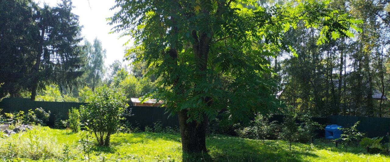 земля городской округ Истра д Павловское снт Сокол-ВМФ Нахабино фото 32