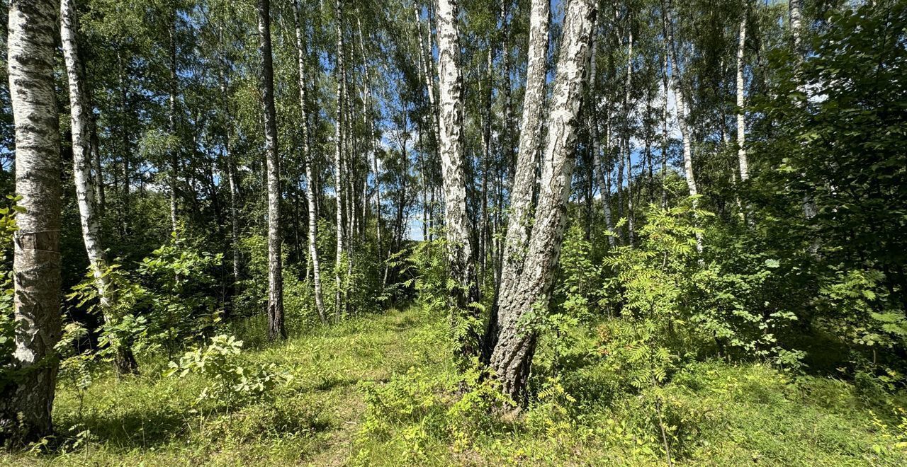 земля направление Павелецкое (юго-восток) ш Новокаширское 28 км, коттеджный пос. Фламандия, 326, Домодедово фото 11