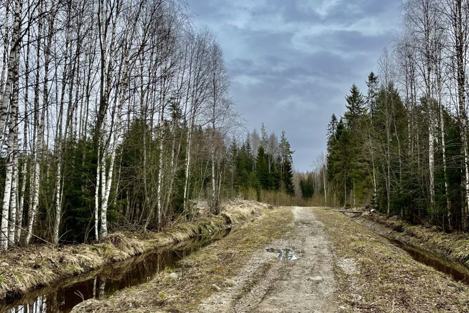 земля р-н Прионежский СНТ Ветеран-3 фото 5