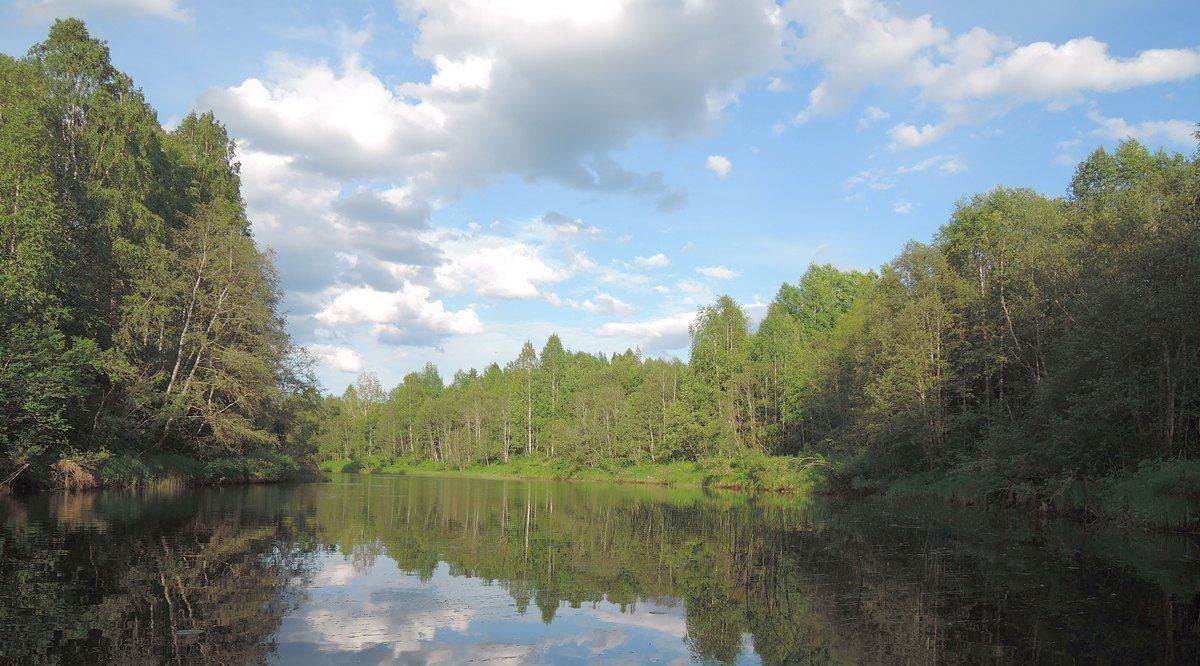 земля городской округ Клин д Давыдково фото 14