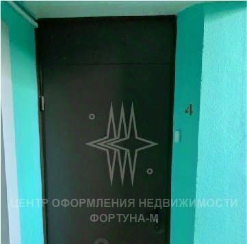квартира г Москва метро Новогиреево ш Энтузиастов 96к/4 фото 24