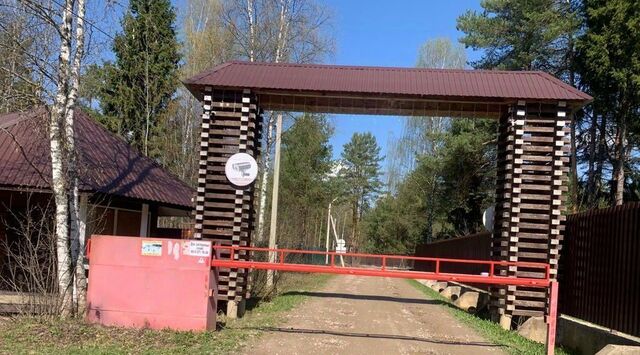 ул Сосновая Переславль-Залесский городской округ фото