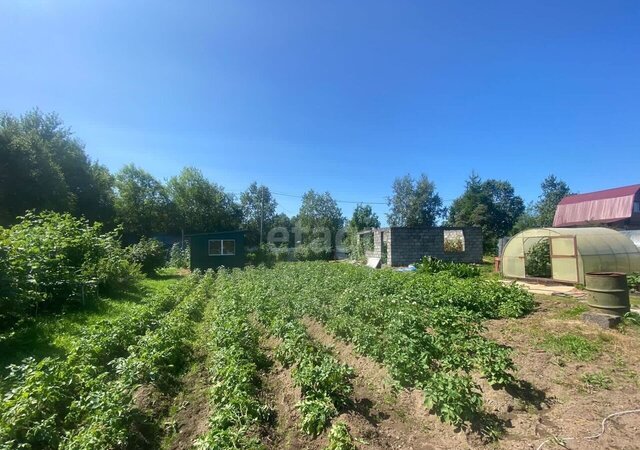 земля снт Дубрава-2 Елизовское городское поселение фото