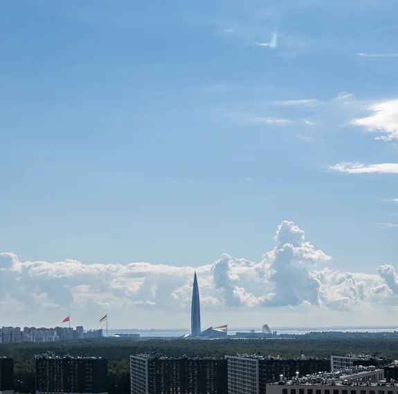 квартира г Санкт-Петербург метро Озерки пр-кт Авиаконструкторов 69 фото 15