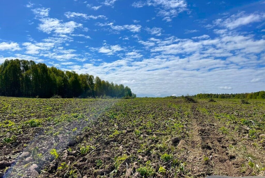 земля городской округ Дмитровский коттеджный поселок «Сорочаны» городской округ Клин фото 10