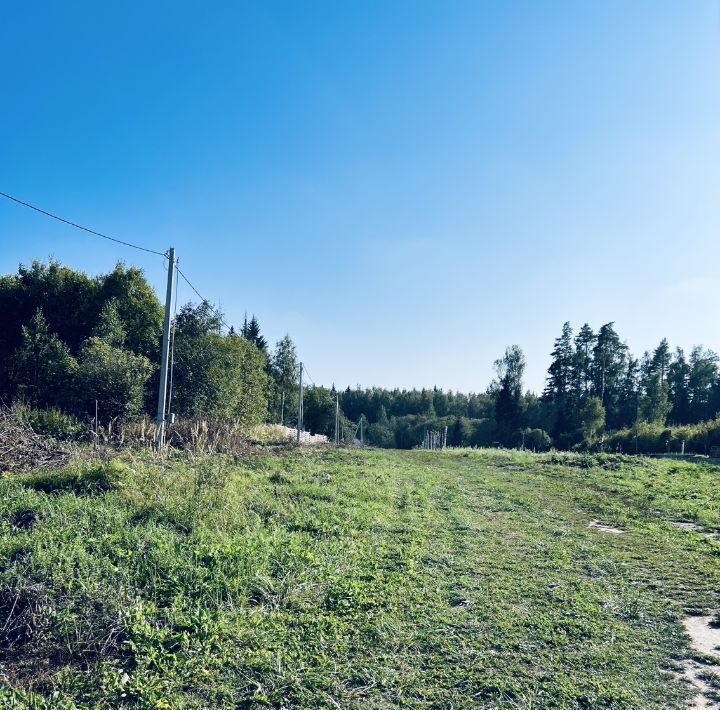 земля городской округ Рузский д Сытьково фото 6