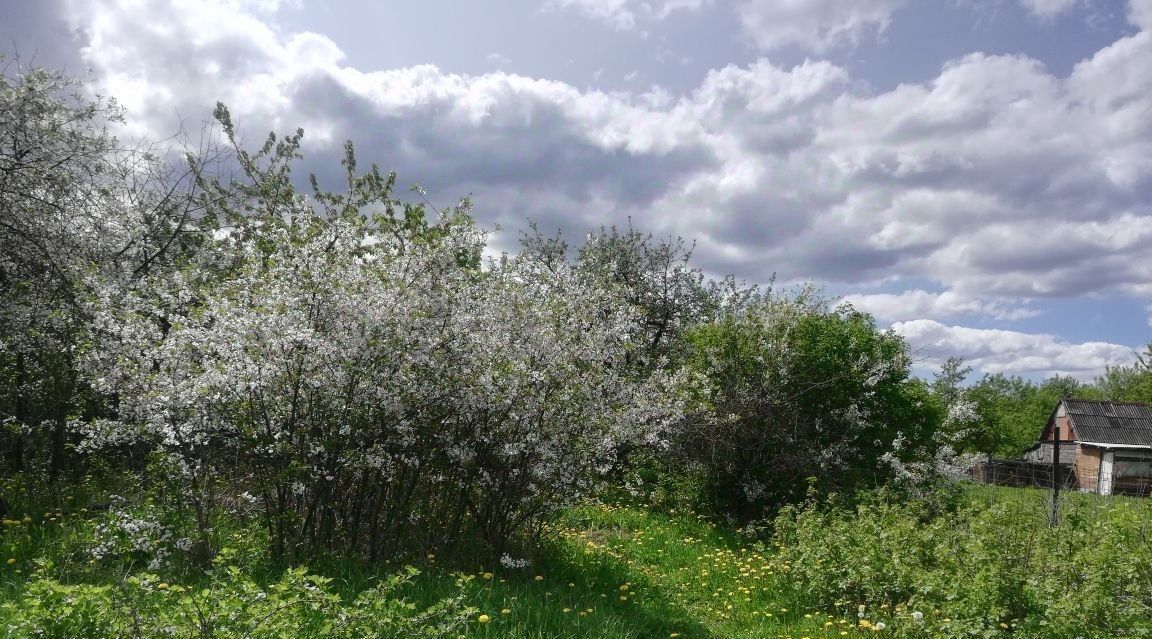 дом городской округ Луховицы д Врачово ул Дорожная фото 3