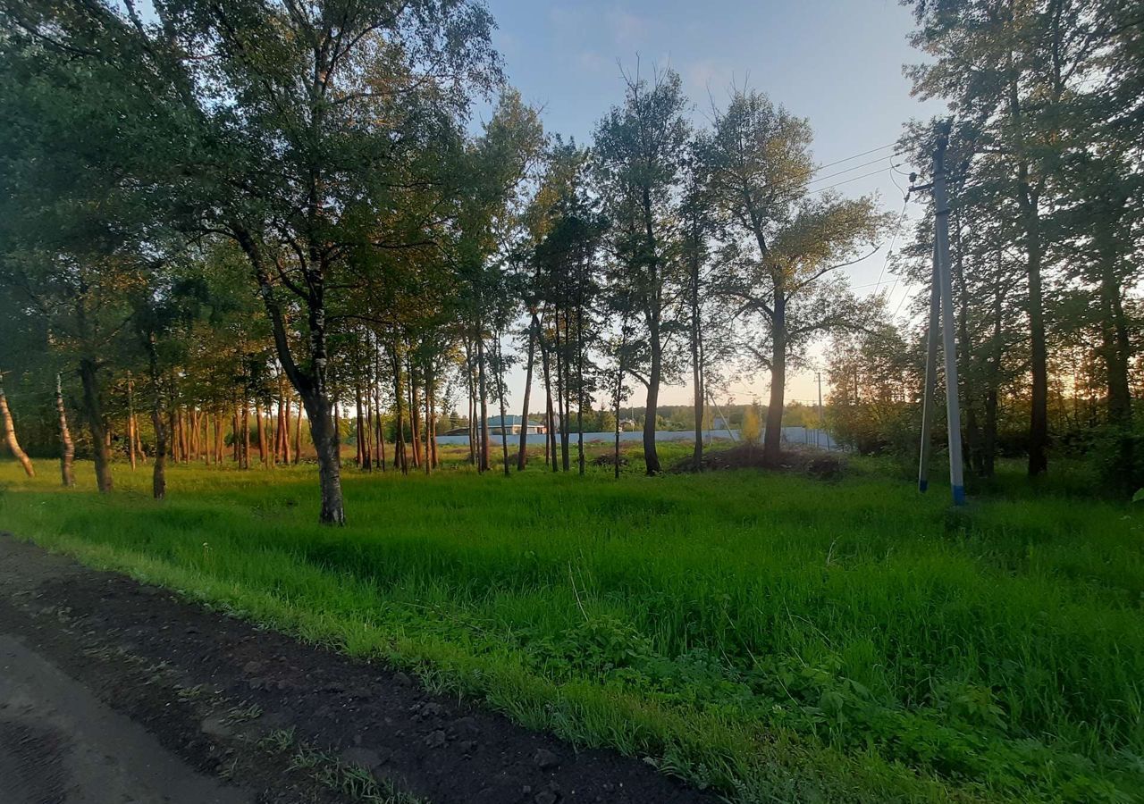 земля г Чехов д Красные Холмы 41 км, городской округ Чехов, Любучаны, Симферопольское шоссе фото 17