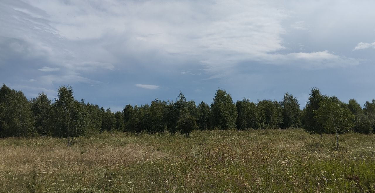 земля р-н Сосновский п Полетаево пос. железнодорожная станция Биргильда фото 7