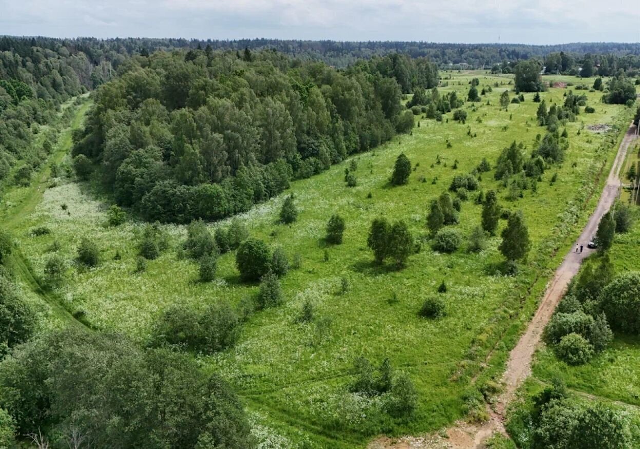 земля городской округ Истра д Алёхново 42 км, 21, Истра, Пятницкое шоссе фото 16