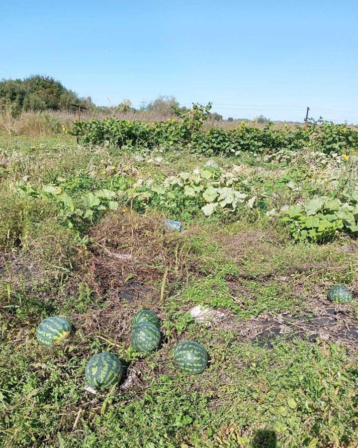 земля р-н Хабаровский с Гаровка-1 ул Зеленая 127 Хабаровск фото 16