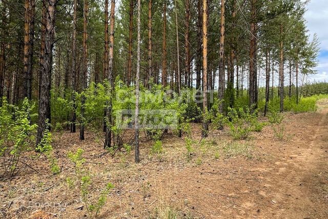 гк Автомобилист фото