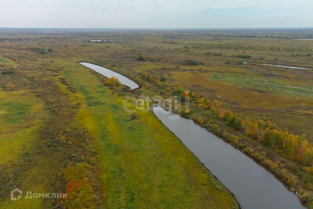 село Борки фото