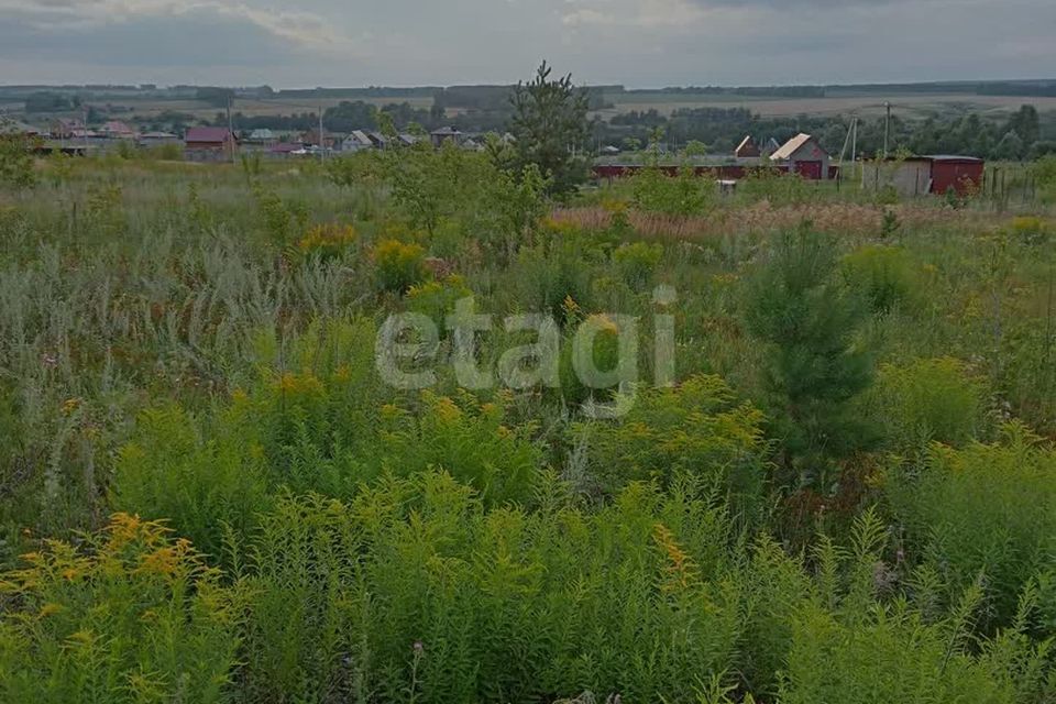 земля р-н Чишминский село Алкино-2 фото 1