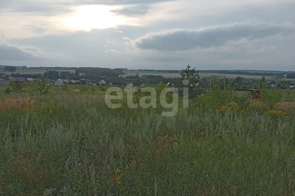 земля р-н Чишминский село Алкино-2 фото 3