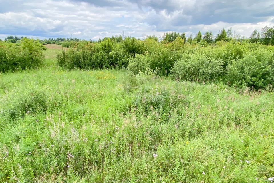 земля г Тобольск Иртышский микрорайон Иртышский, городской округ Тобольск фото 2