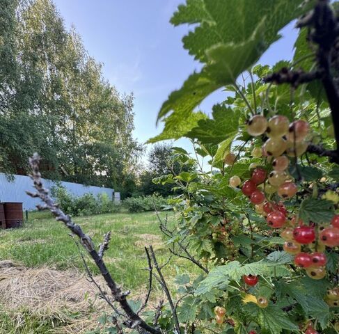 городской округ Щёлково п Образцово ул Образцовская 44а Щелково городской округ фото