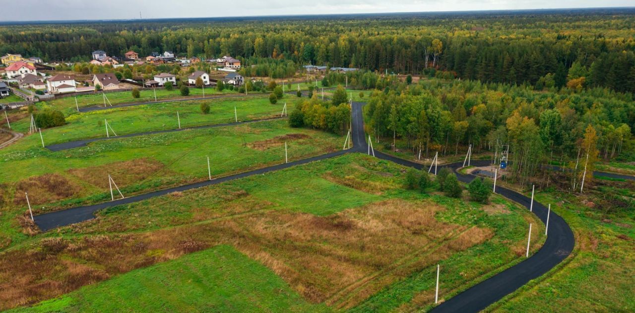 земля р-н Всеволожский Колтушское городское поселение, Крокусы кп фото 3