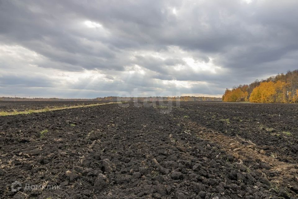 земля р-н Тюменский село Горьковка фото 10