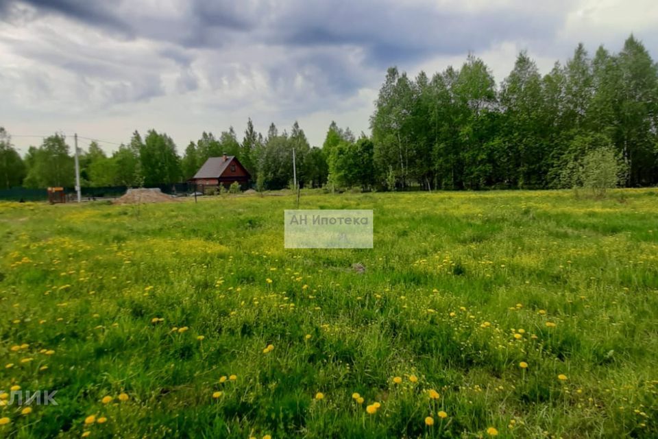 земля городской округ Щёлково д Большие Петрищи ул Семейная фото 3