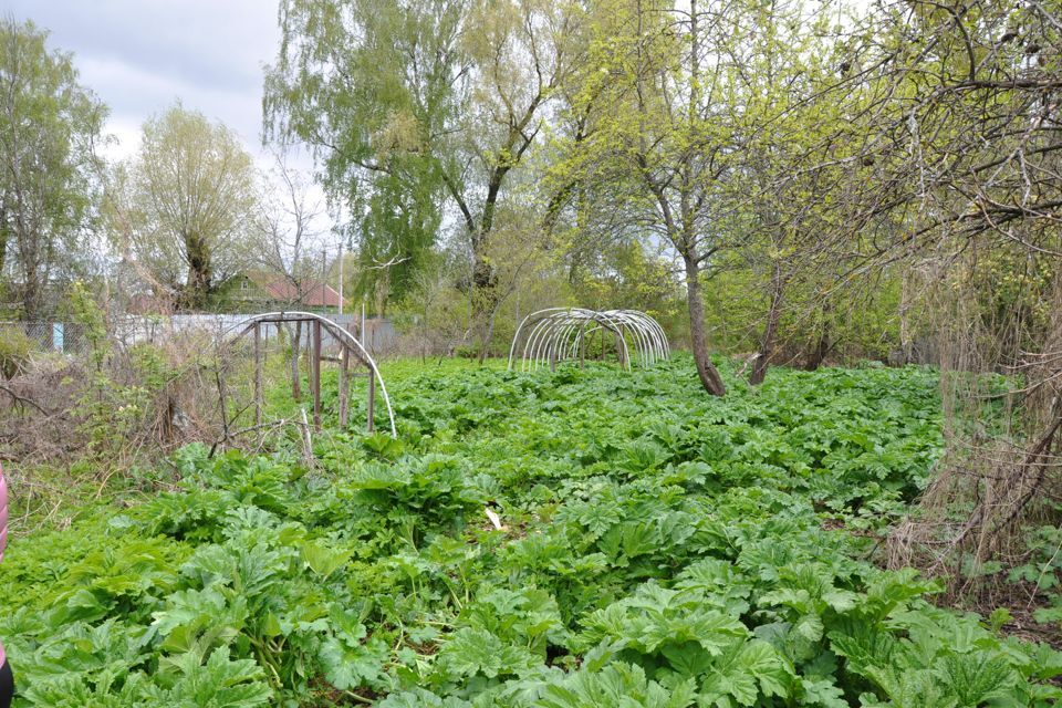 земля городской округ Дмитровский деревня Абрамцево фото 7