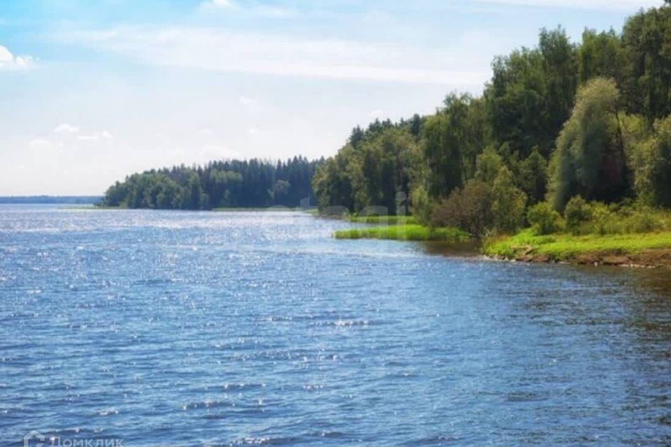 земля городской округ Мытищи Адмиральский фото 6