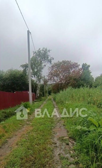 земля г Уссурийск с Глуховка ул Зеленая фото 11