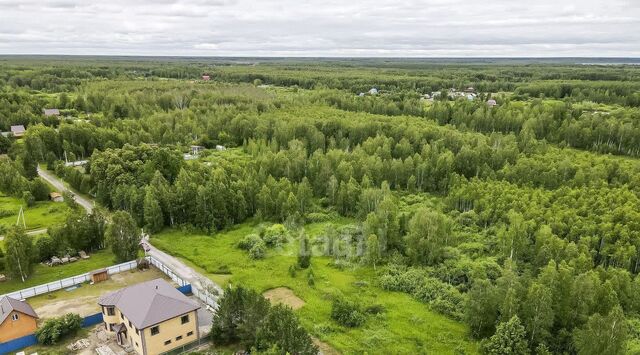 снт Геофизик-2 фото