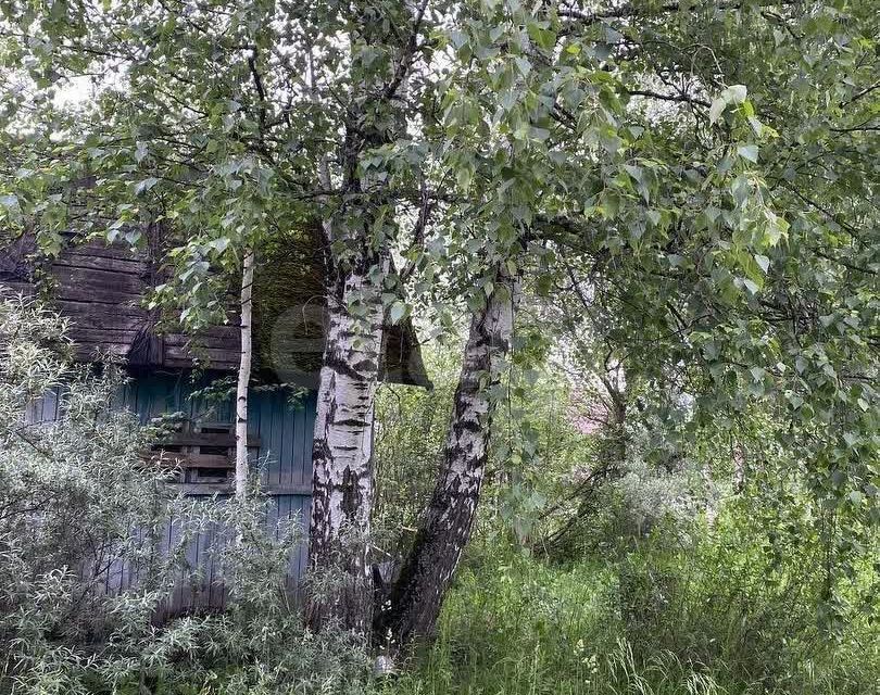 земля г Вологда городской округ Вологда, садоводческое товарищество Сохатый фото 5