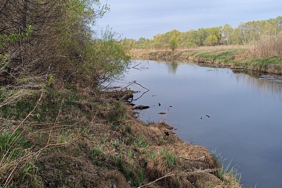 земля г Воронеж р-н Левобережный городской округ Воронеж, Левобережный фото 6