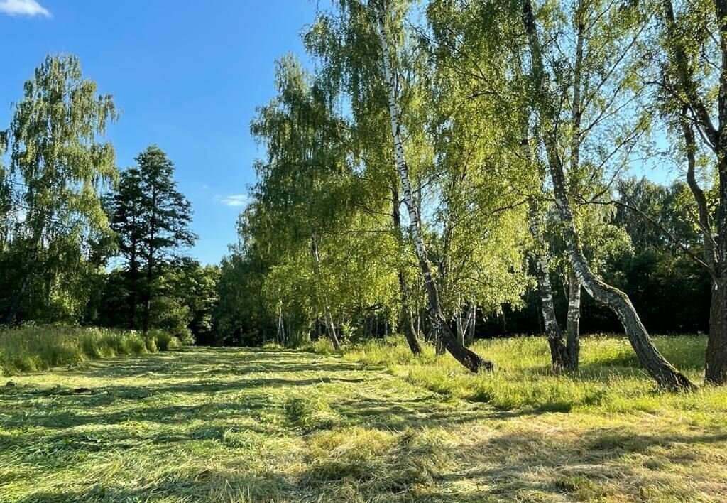 земля р-н Жуковский д Нестеровка сельское поселение Высокиничи, Жуков фото 3