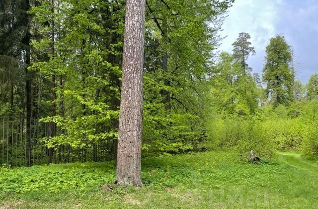 земля городской округ Одинцовский г Звенигород мкр Поречье 9754 км, Ильинское шоссе фото 2