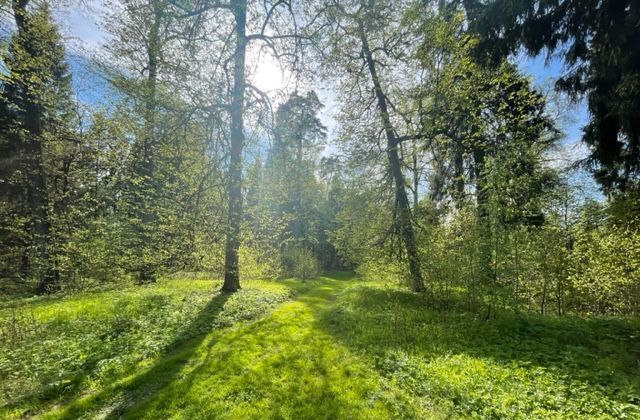 земля городской округ Одинцовский г Звенигород 9754 км, коттеджный пос. Поречье, Ильинское шоссе фото 5