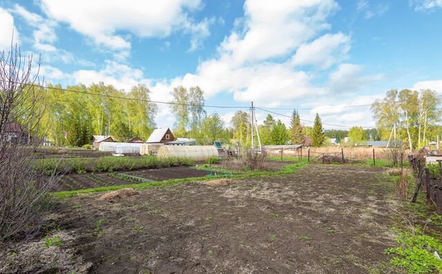 снт Полянка Барышевский сельсовет, Новосибирск фото