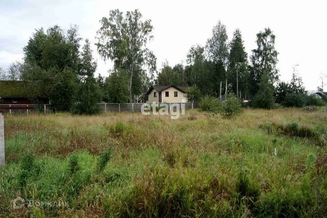 дп Массив Ромашки снт Вирта-1 33 фото