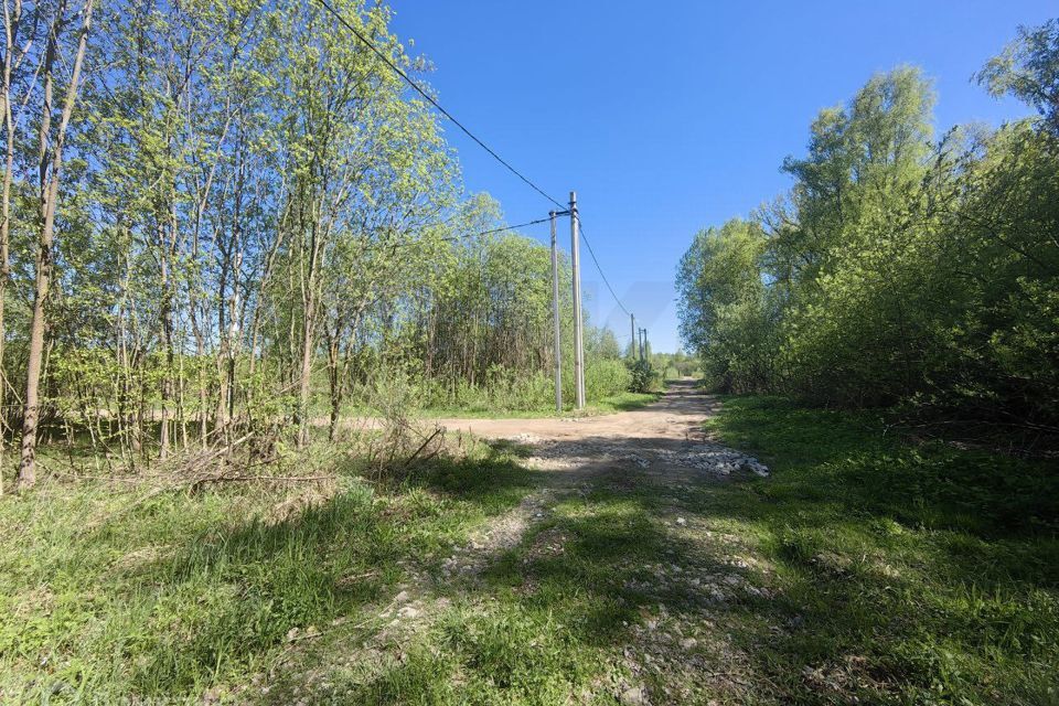 земля городской округ Коломна, садовое товарищество Ягодное, 369 фото 7