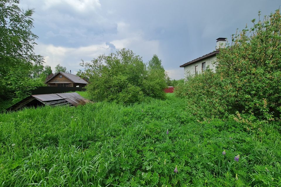 земля городской округ Сергиево-Посадский садовое товарищество Торгоша фото 6