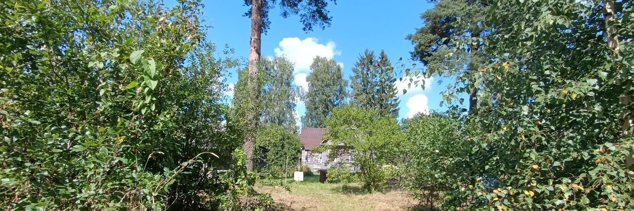 земля р-н Всеволожский г Всеволожск ул Советская 108 Ладожская фото 1