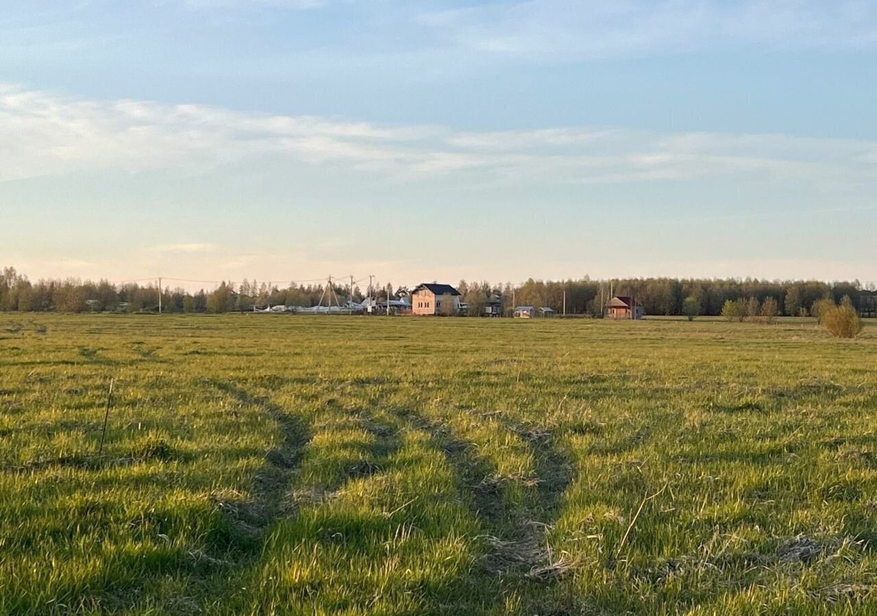 земля р-н Всеволожский п Романовка Романовское сельское поселение фото 1